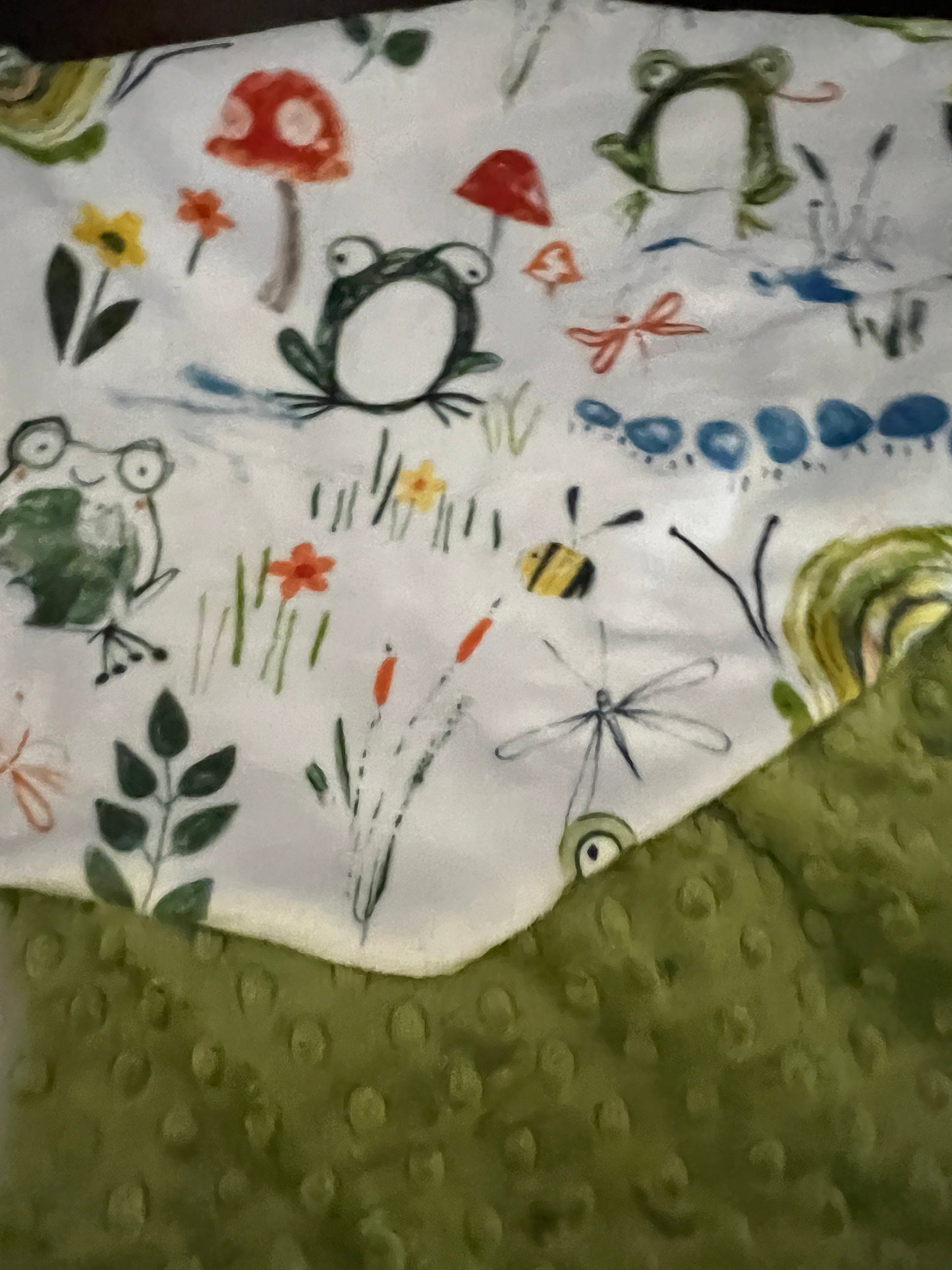 Frog and Toad, Personalized Minky Baby Blanket, Nursery Bedding, Baby Girl Gift, Baby Boy Gift, Baby Shower Gift