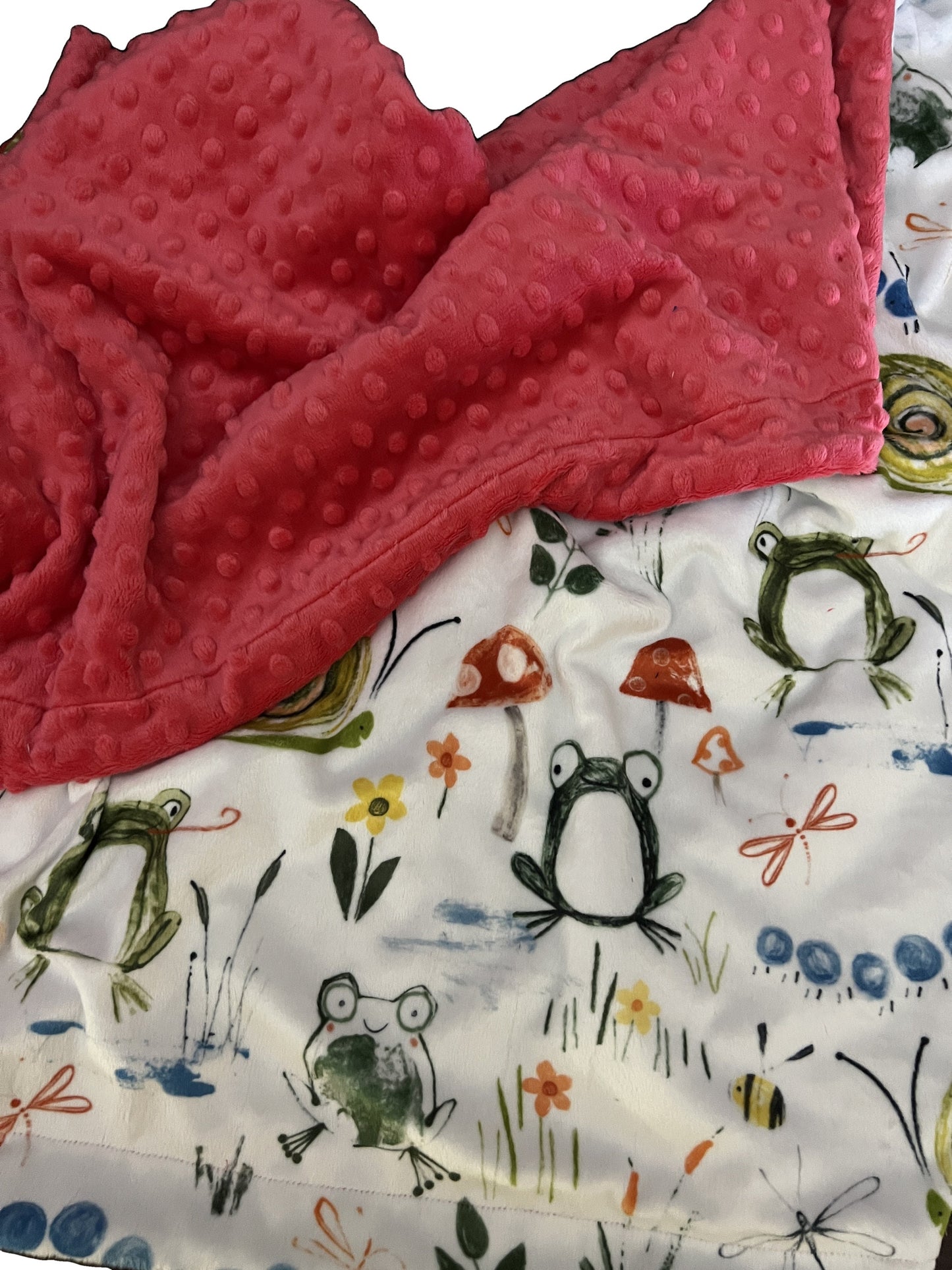Frog and Toad, Personalized Minky Baby Blanket, Nursery Bedding, Baby Girl Gift, Baby Boy Gift, Baby Shower Gift