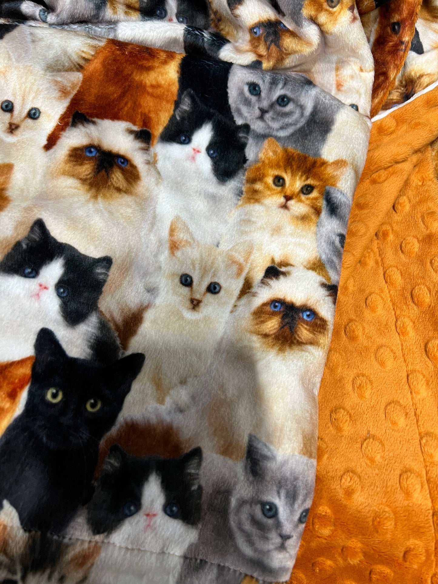 Cat Lovers Minky Throw Blanket, Adult Minky Throw, Cat Blanket, Animal Blanket, Pet Blanket
