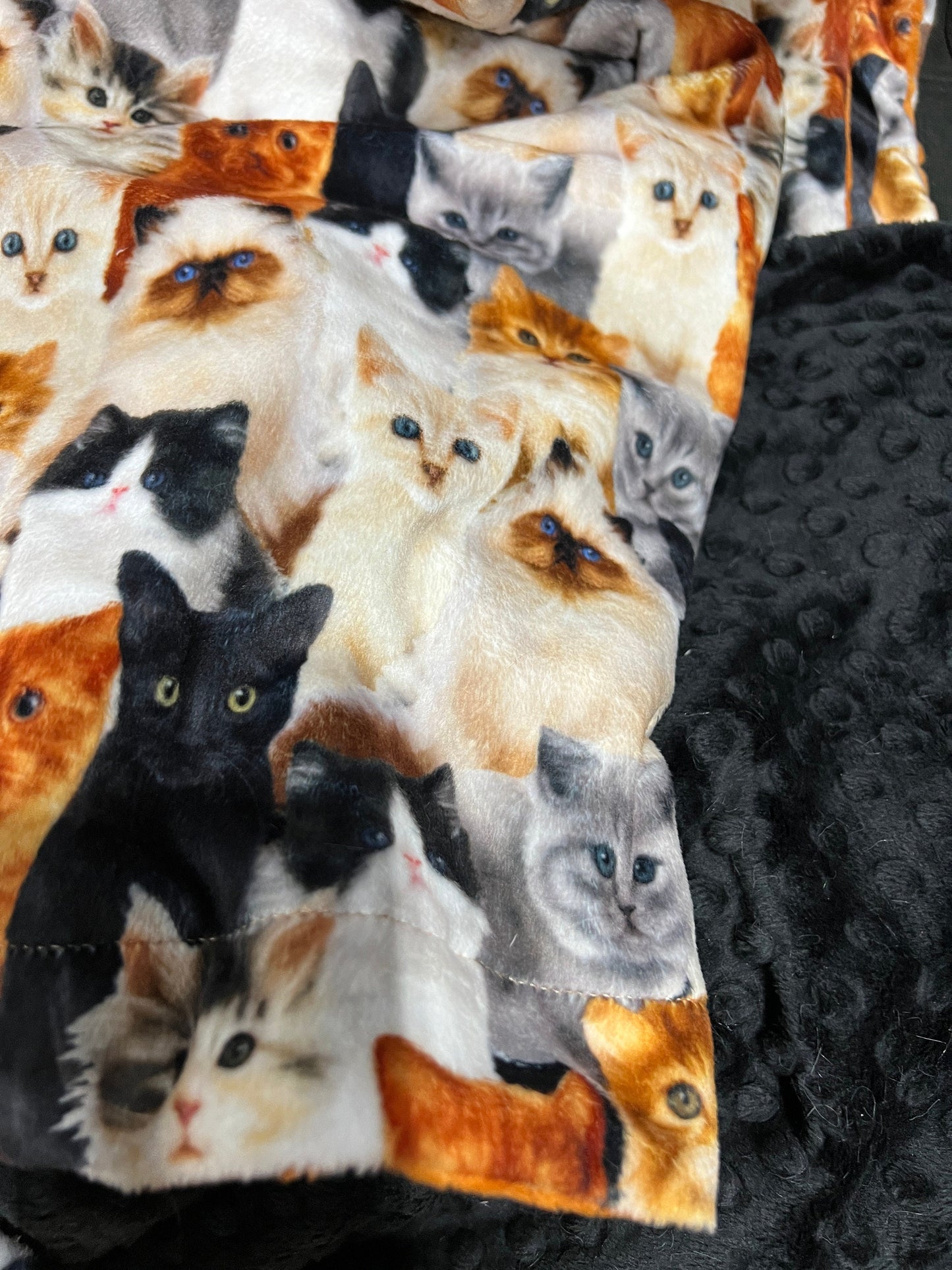 Cat Lovers Minky Throw Blanket, Adult Minky Throw, Cat Blanket, Animal Blanket, Pet Blanket