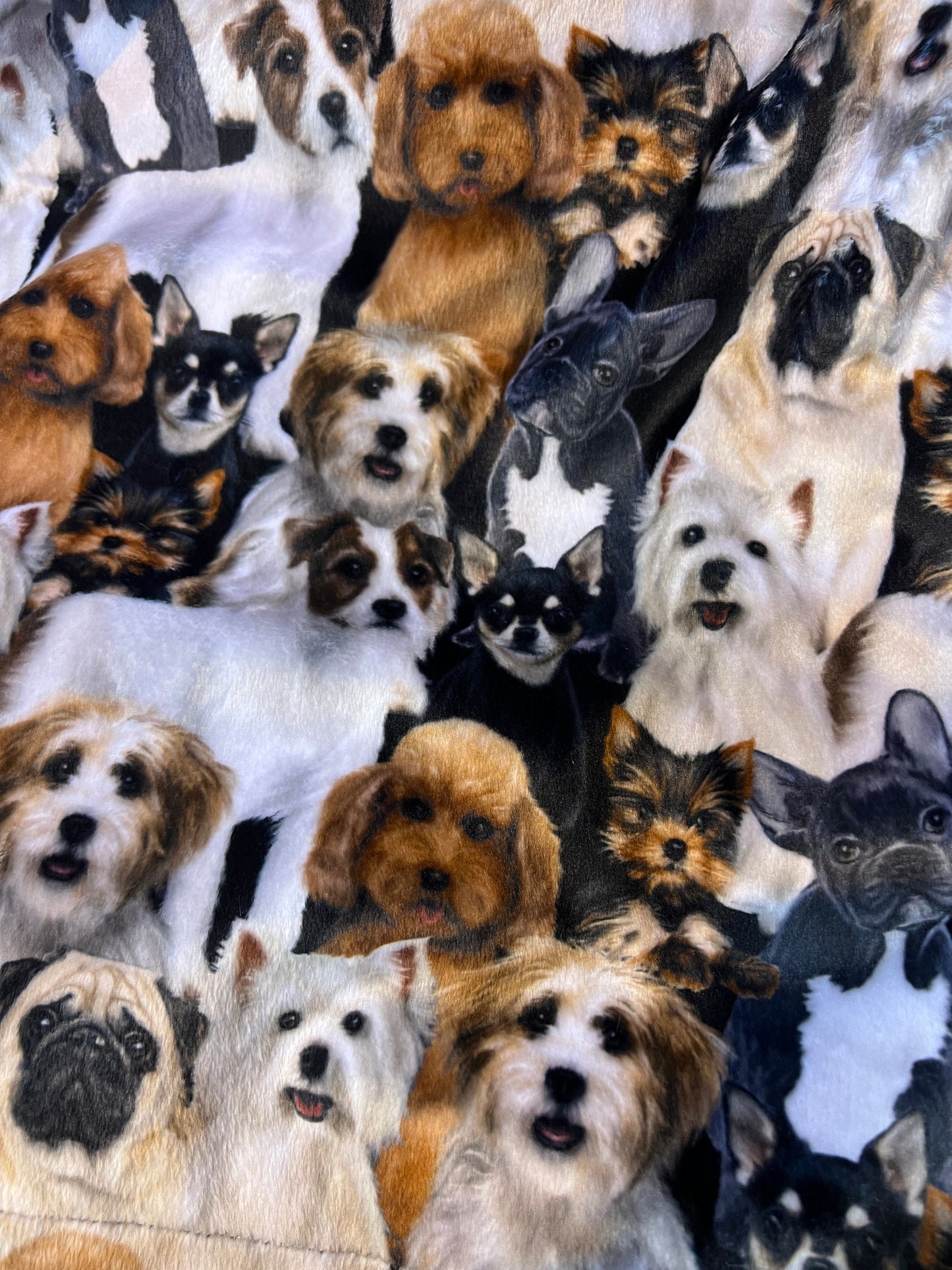 Dog Theme Minky Blanket, Throw Blanket, Dog Lovers Blanket, Minky Adult Blanket