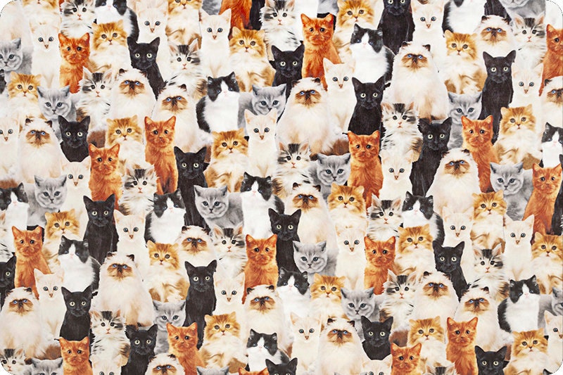 Cat Lovers Minky Throw Blanket, Adult Minky Throw, Cat Blanket, Animal Blanket, Pet Blanket