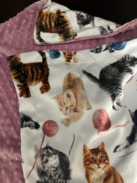 Kitten Minky Baby Blanket, Cat Lovers Blanket, Baby Shower Gift, Baby Boy, Baby Girl Gift