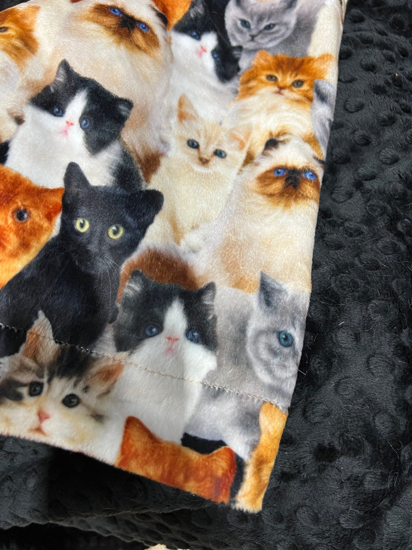 Cat Lovers Minky Throw Blanket, Adult Minky Throw, Cat Blanket, Animal Blanket, Pet Blanket